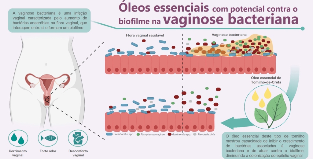 Óleos essenciais com potencial contra o biofilme na vaginose bacteriana