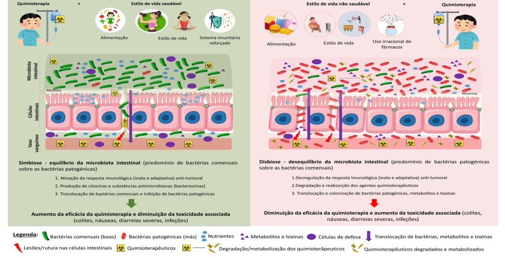 A microbiota intestinal na eficácia da&nbsp;quimioterapia