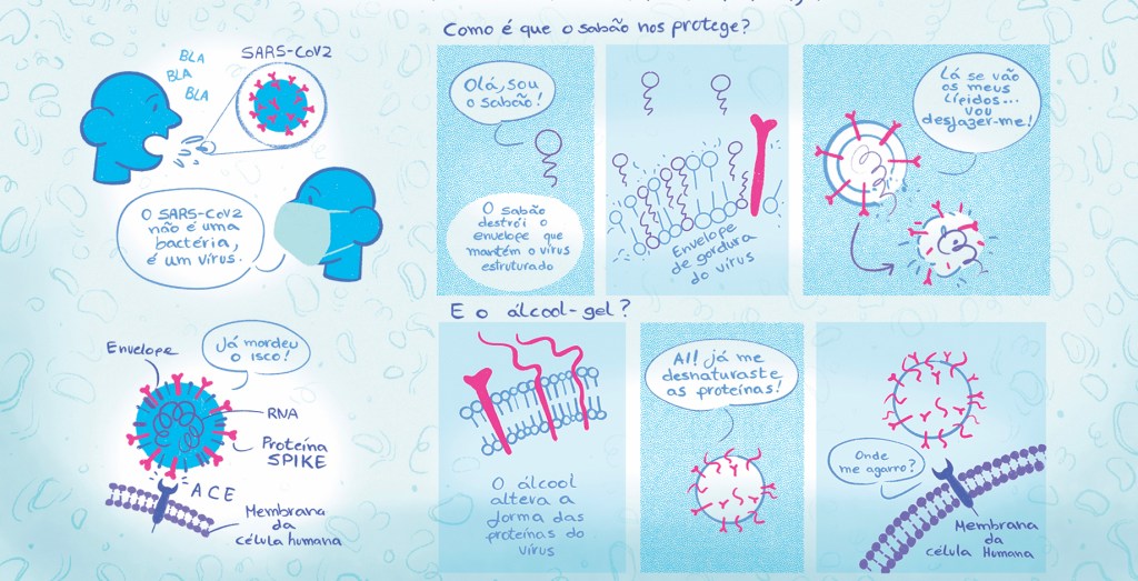 O vírus com alcool e sabão, uma história de&nbsp;inativação