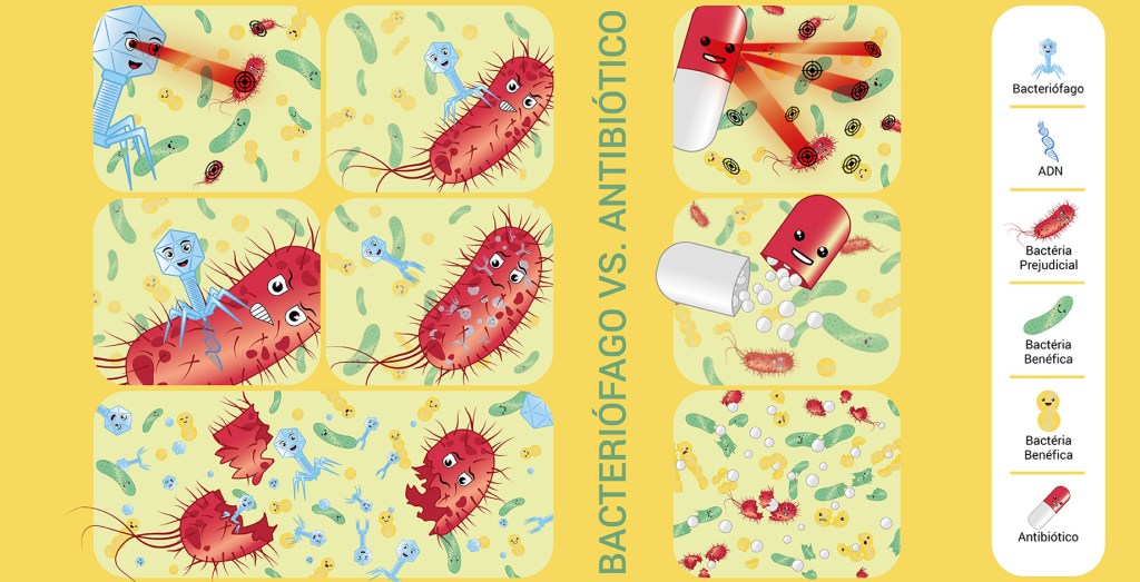 O bacteriófago, um virus bom, pouco conhecido