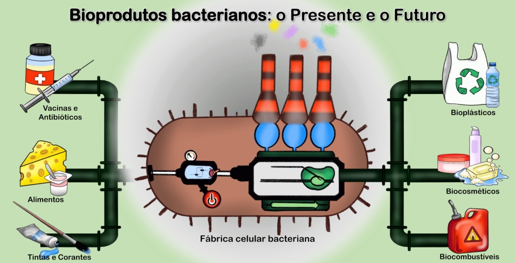 Bioprodutos bacterianos: o Presente e o Futuro