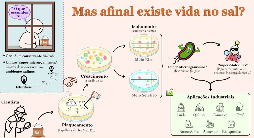 Mas afinal existe vida no&nbsp;sal?