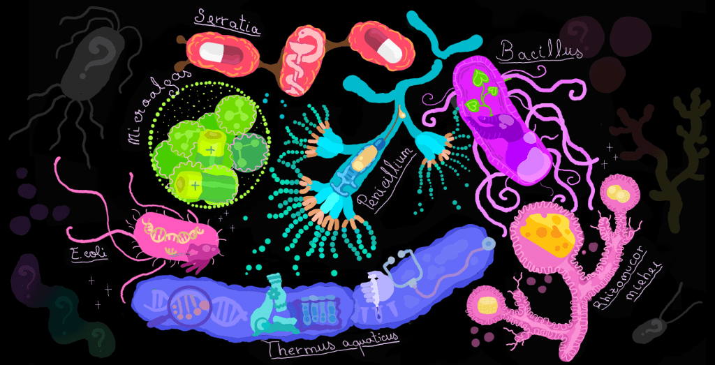 O Universo Invisível: explorar a micro-biodiversidade