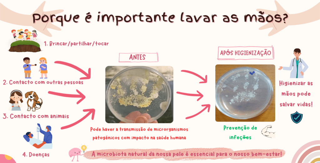 Micróbios nas nossas&nbsp;mãos?