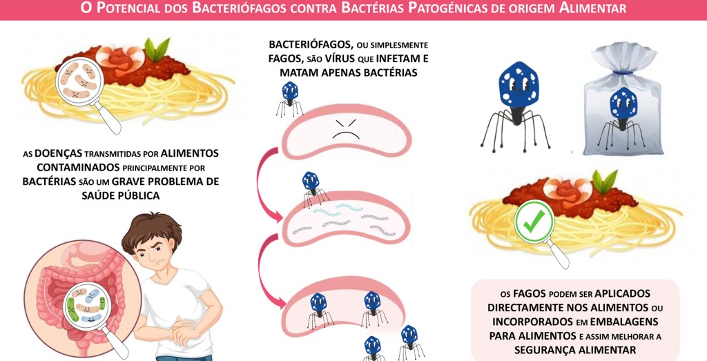 O potencial dos bacteriófagos contra bactérias patogénicas de origem&nbsp;alimentar