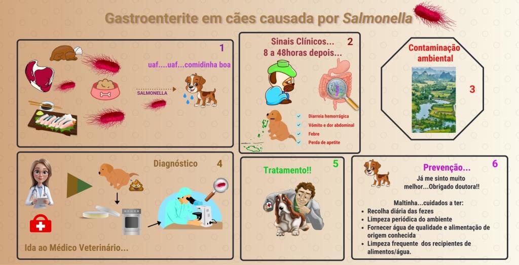 Gastroenterite em cães causada por&nbsp;Salmonella