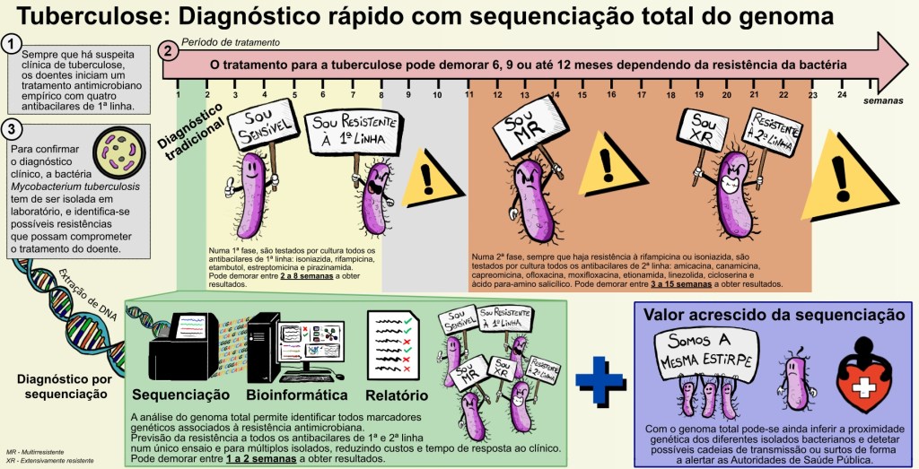 Tuberculose: diagnóstico rápido com a sequenciação total do&nbsp;genoma